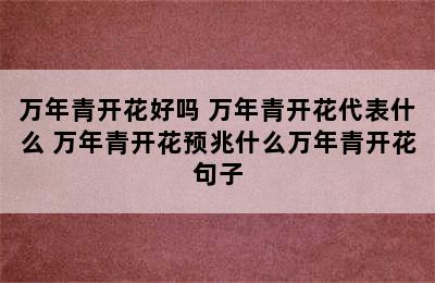 万年青开花好吗 万年青开花代表什么 万年青开花预兆什么万年青开花句子